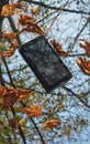 Falling broken smartphone and dry autumn leaves