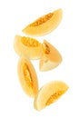 Falling Cantaloupe isolated on white background with clipping path, full depth of field.