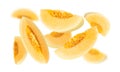 Falling Cantaloupe isolated on white background with clipping path, full depth of field.