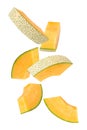 Falling Cantaloupe Melon isolated on white background with clipping path, full depth of field.