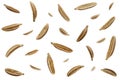 Falling caraway seeds isolated on a white background, top view. Cumin seeds in the air on a white background. Set of
