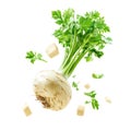 Falling Celeriac isolate on transparency Royalty Free Stock Photo