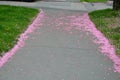 Falling cherry petals cover cars, roads and sidewalks with a pink layer of petals. in the corners there are layers that must be cl