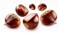 Falling Chestnuts isolate on White background Royalty Free Stock Photo