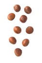 Falling chestnuts on white background Royalty Free Stock Photo