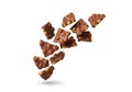 Falling chocolate pieces with hazelnuts Royalty Free Stock Photo