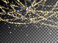 Falling Christmas shining gold glitter snowfall Royalty Free Stock Photo