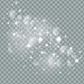 Falling Christmas Shining transparent beautiful snow isolated on transparent background. Snowflakes, snowfall. snowflake Royalty Free Stock Photo