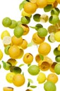 Falling citrus on vertical background