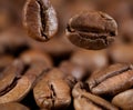 Falling coffee beans macro Royalty Free Stock Photo