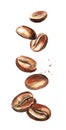 Falling Coffee beans. Watercolor hand drawn illustration, isolated on white background. Royalty Free Stock Photo