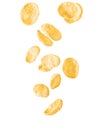 Falling corn flakes on white background