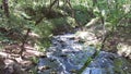 Falling Creek Falls