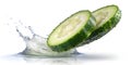 Falling cucumber slice isolated on white background
