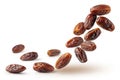 Falling Dried Dates Ã¢â¬\' Floating Sweet Fruits on White Background Royalty Free Stock Photo
