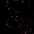 Falling Drops: Abstract Rain of Red and Blue Liquid on a Black Background Royalty Free Stock Photo