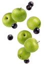 Falling flying green apples and black currant isolated on white Royalty Free Stock Photo