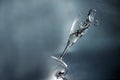 Falling glass Royalty Free Stock Photo