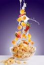 Falling gold corn flakes and strawberry with milk