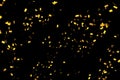 Falling golden metallic glitter foil confetti, animation movement on black background, gold holiday and festive fun Royalty Free Stock Photo