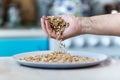 Falling of grain millet from farmers hands against background of the kitchen, close-up Royalty Free Stock Photo