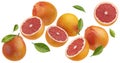 Falling grapefruits isolated on white background Royalty Free Stock Photo