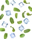 Falling green mint leaves and crystal clear ice cubes on background