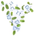 Falling green mint leaves, crystal ice cubes and splash of water on background Royalty Free Stock Photo