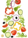 Falling green salad with tomatoes, onion, olives and cucumber