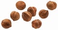 Falling hazelnuts isolated on white background Royalty Free Stock Photo