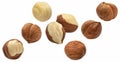 Falling hazelnuts isolated on white background Royalty Free Stock Photo