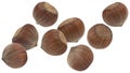Falling hazelnuts isolated on white background Royalty Free Stock Photo