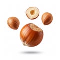 Falling hazelnuts, isolated on white background Royalty Free Stock Photo