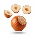 Falling hazelnuts, isolated on white background Royalty Free Stock Photo