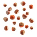 Falling hazelnuts on white background Royalty Free Stock Photo