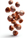 Falling Hazelnuts on White Background Royalty Free Stock Photo