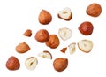 Falling hazelnuts whole and pieces on a white background. Isolated Royalty Free Stock Photo