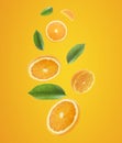 Falling juicy oranges with green leaves on orange background. Flying defocusing slices of oranges. Applicable for fruit juice