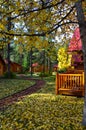 Falling leafs of trees with log cabins