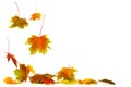 Falling leaves Royalty Free Stock Photo