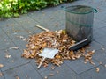 Falling leaves in autom have to be cleaned away Royalty Free Stock Photo