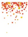 Falling leaves background.