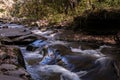 Falling leaves in bright autumn foliage surrounds Rondout Creek