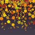 Falling leaves on dark background. Perfect for brochures, presentations and any design Royalty Free Stock Photo