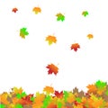 Autumn Falling Leaves Royalty Free Stock Photo
