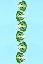 Falling many soaring green broccoli slices in a row on a blue background. Royalty Free Stock Photo