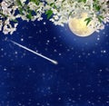 Falling meteor. Blooming cherry. Full moon. Night charm. Spring. Royalty Free Stock Photo