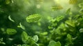 Falling mint leaves, spearmint, selective focus