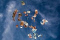 Falling money from the sky Royalty Free Stock Photo