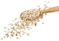Falling oat flakes isolated on white background Royalty Free Stock Photo